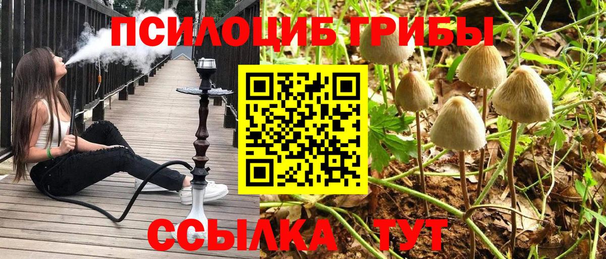Галлюциногенные грибы мицелий Ногинск